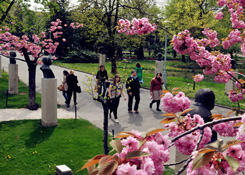 布达佩斯技术与经济大学春季校园